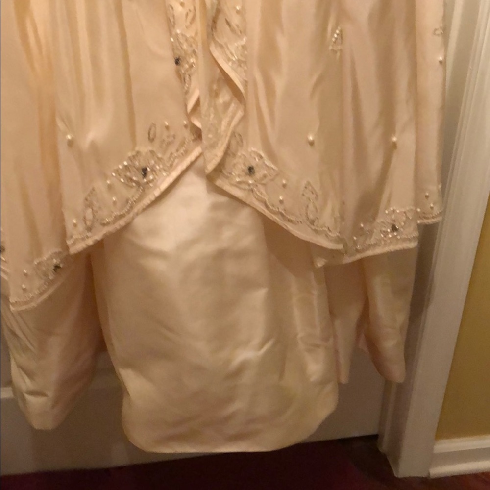 Beautiful Gown With Multiple Linings - image 3